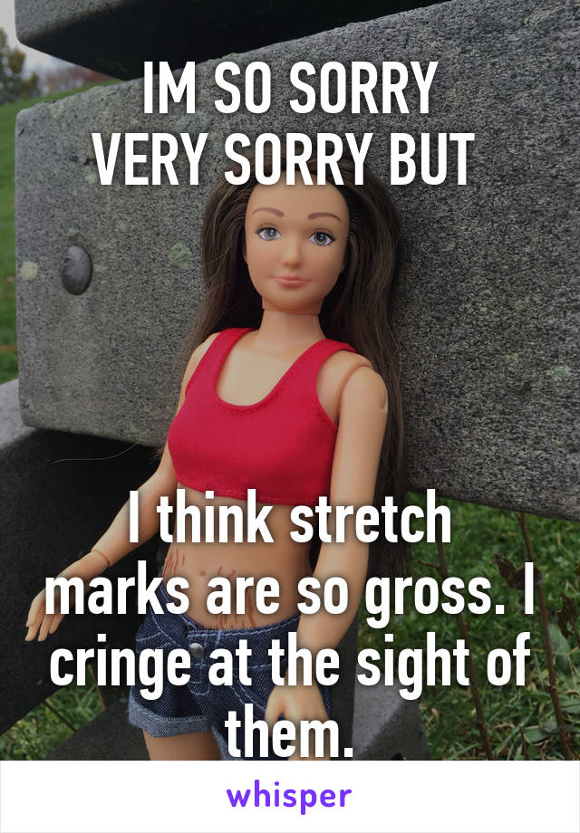 IM SO SORRY
VERY SORRY BUT 




I think stretch marks are so gross. I cringe at the sight of them.