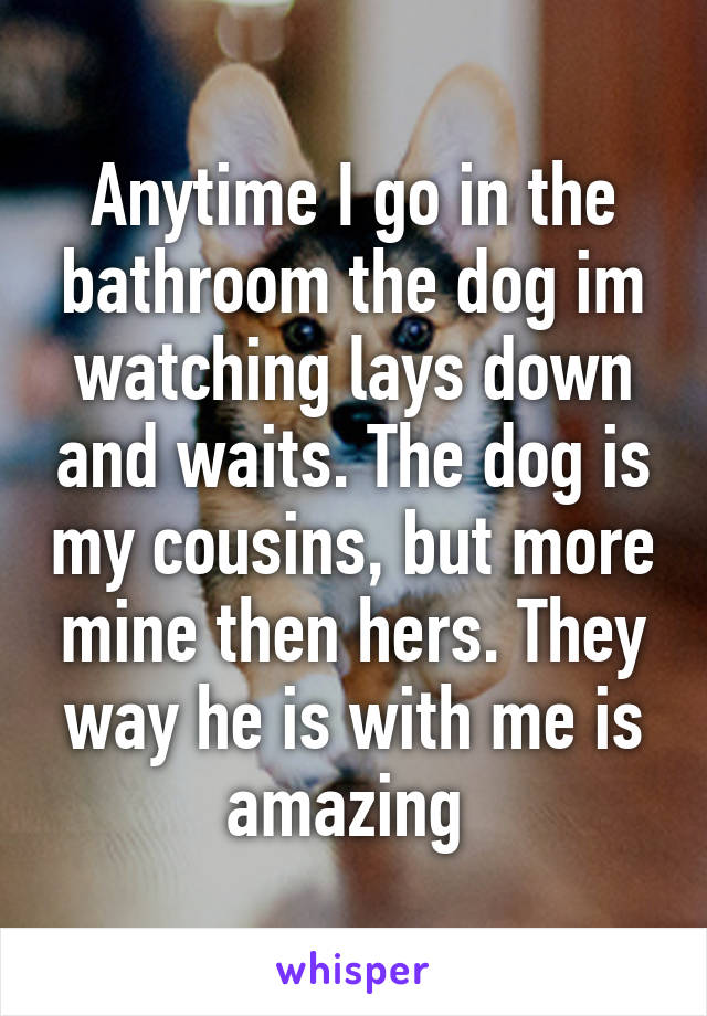 Anytime I go in the bathroom the dog im watching lays down and waits. The dog is my cousins, but more mine then hers. They way he is with me is amazing 