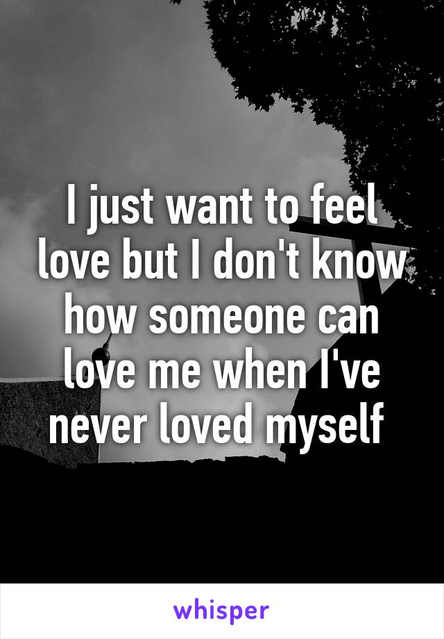 I just want to feel love but I don't know how someone can love me when I've never loved myself 