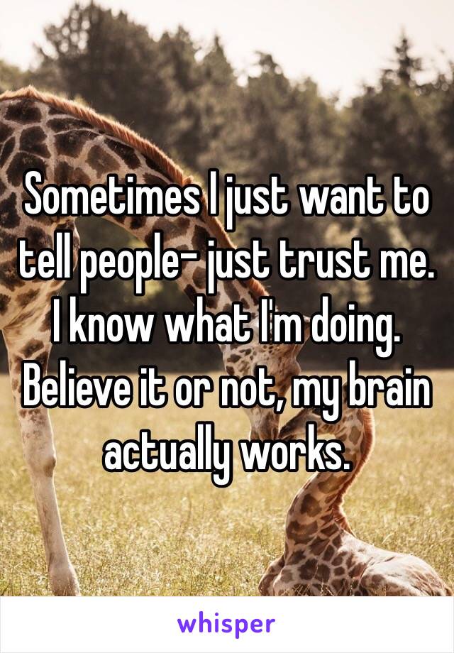 Sometimes I just want to tell people- just trust me. I know what I'm doing. Believe it or not, my brain actually works.
