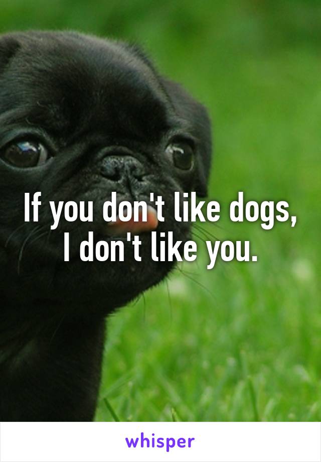 If you don't like dogs, I don't like you.