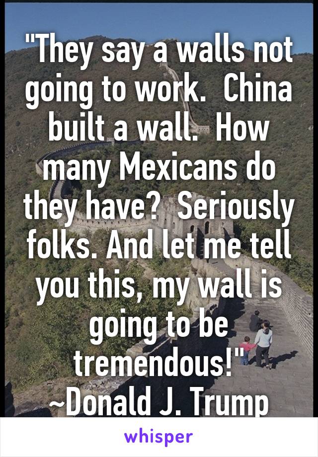 "They say a walls not going to work.  China built a wall.  How many Mexicans do they have?  Seriously folks. And let me tell you this, my wall is going to be tremendous!" ~Donald J. Trump