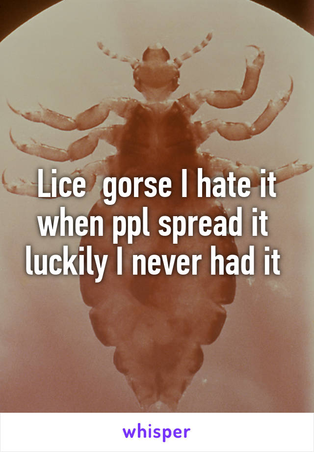 Lice  gorse I hate it when ppl spread it  luckily I never had it 