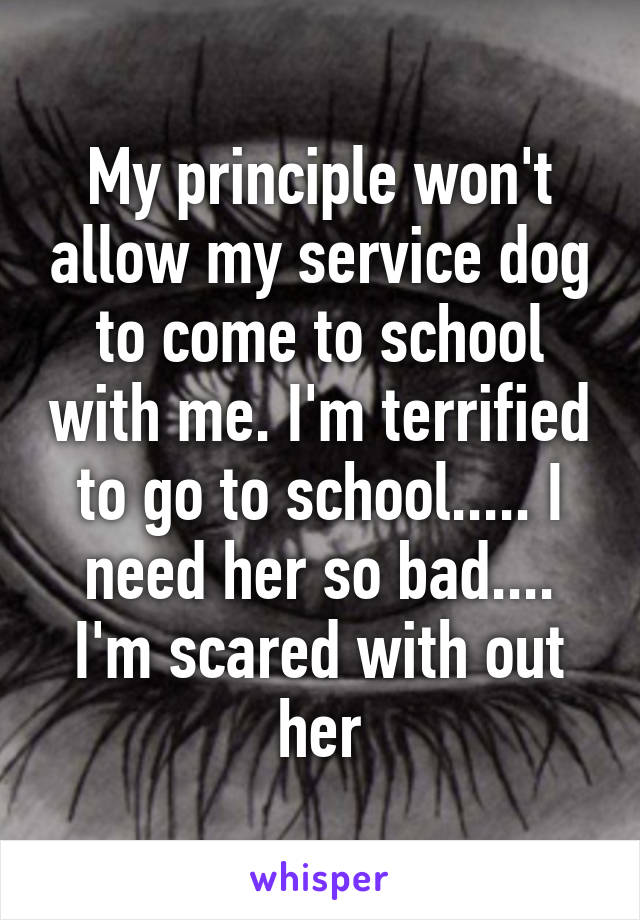 My principle won't allow my service dog to come to school with me. I'm terrified to go to school..... I need her so bad.... I'm scared with out her