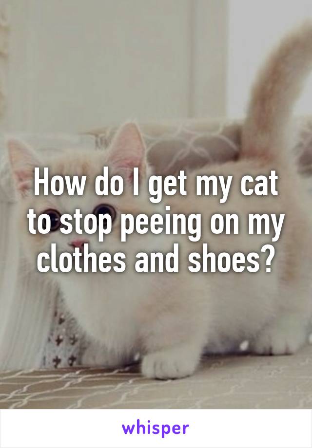 How do I get my cat to stop peeing on my clothes and shoes?