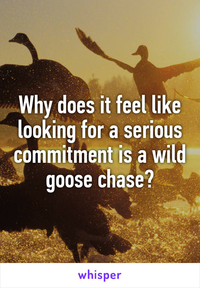 Why does it feel like looking for a serious commitment is a wild goose chase?