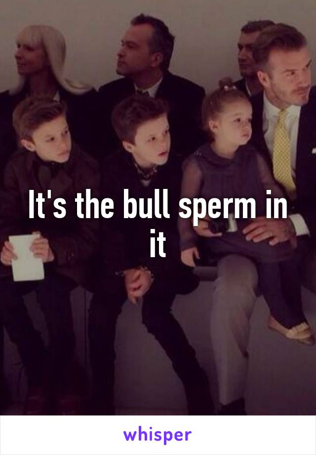 It's the bull sperm in it