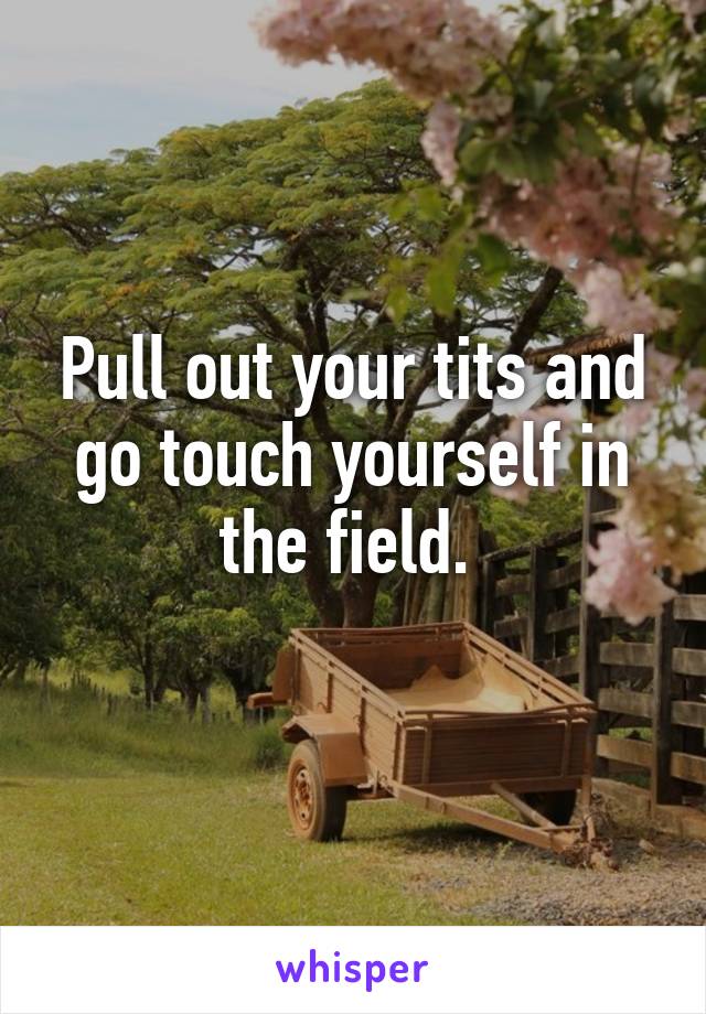 Pull out your tits and go touch yourself in the field. 
