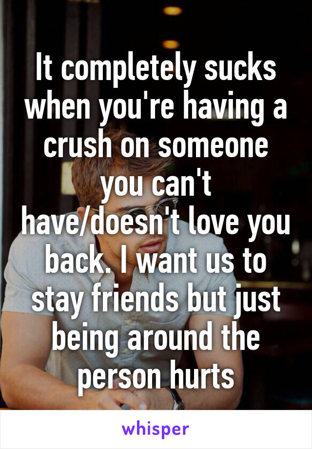 It completely sucks when you're having a crush on someone you can't have/doesn't love you back. I want us to stay friends but just being around the person hurts