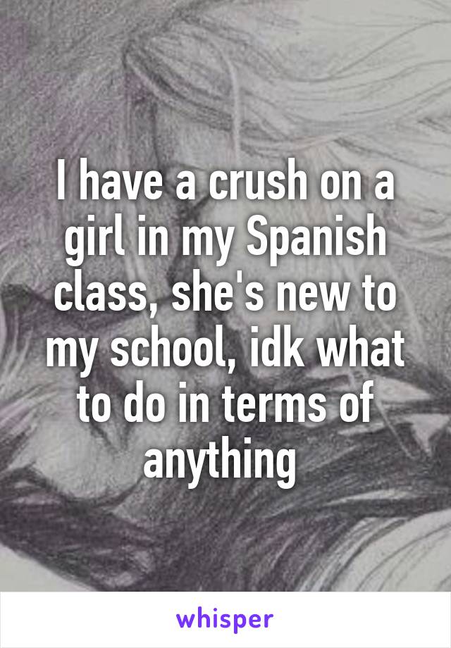 I have a crush on a girl in my Spanish class, she's new to my school, idk what to do in terms of anything 