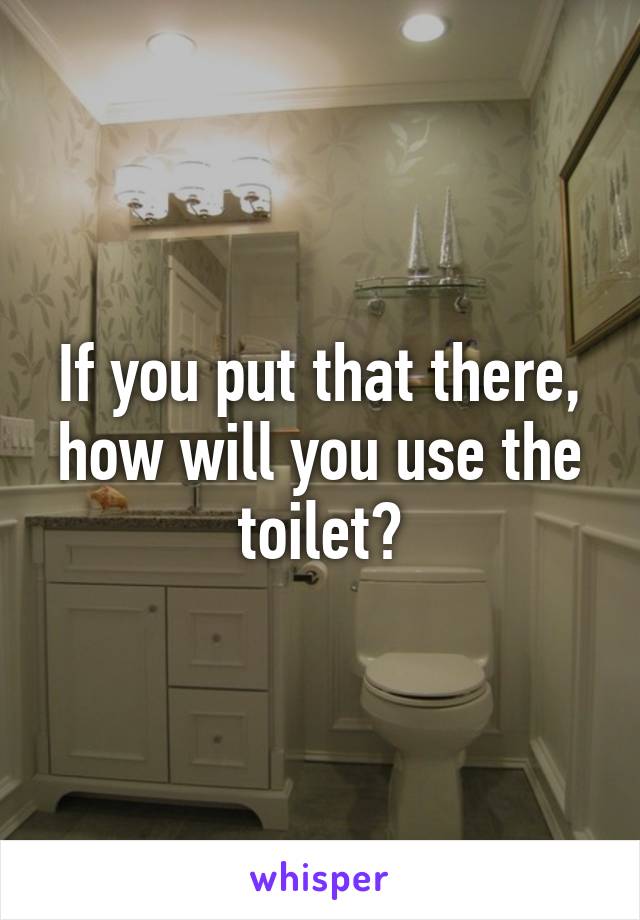 If you put that there,
how will you use the toilet?