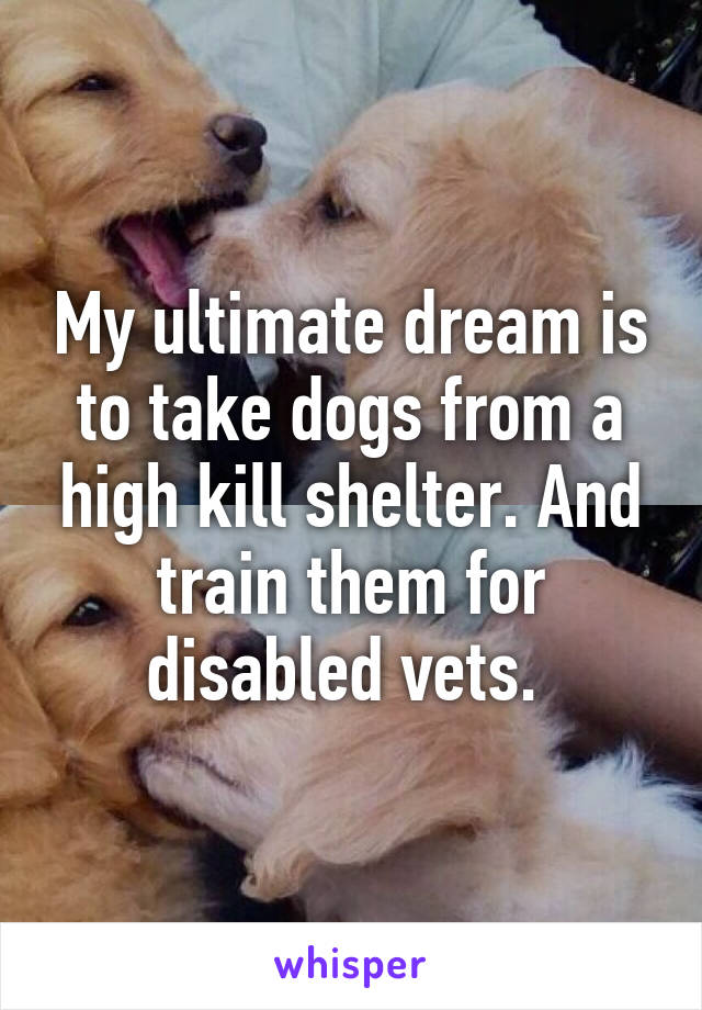 My ultimate dream is to take dogs from a high kill shelter. And train them for disabled vets. 