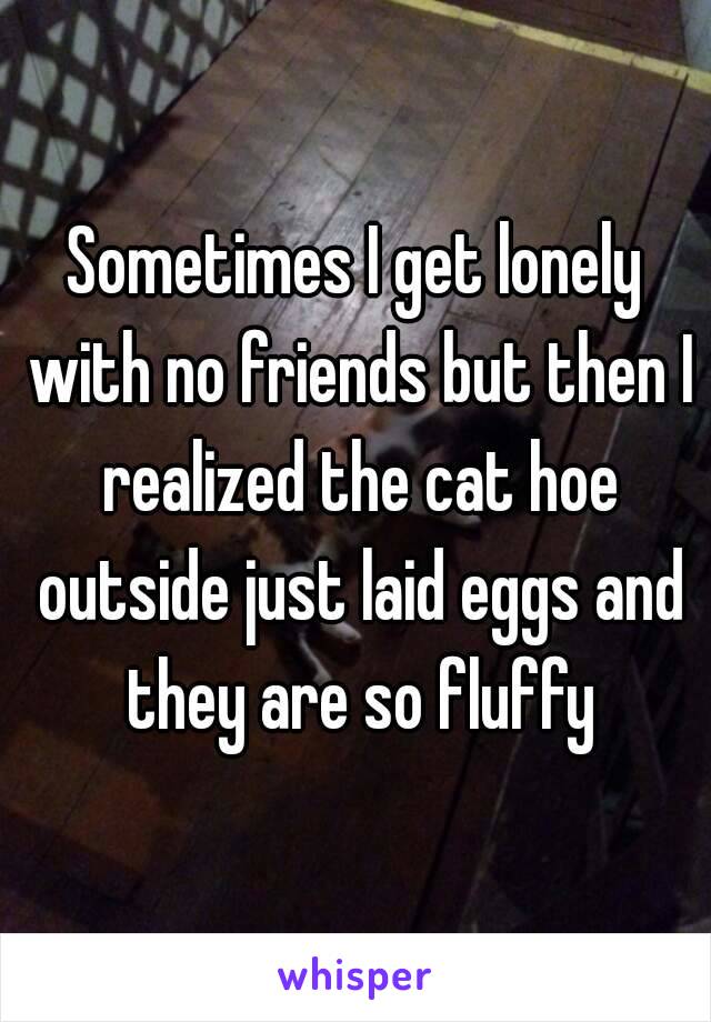 Sometimes I get lonely with no friends but then I realized the cat hoe outside just laid eggs and they are so fluffy