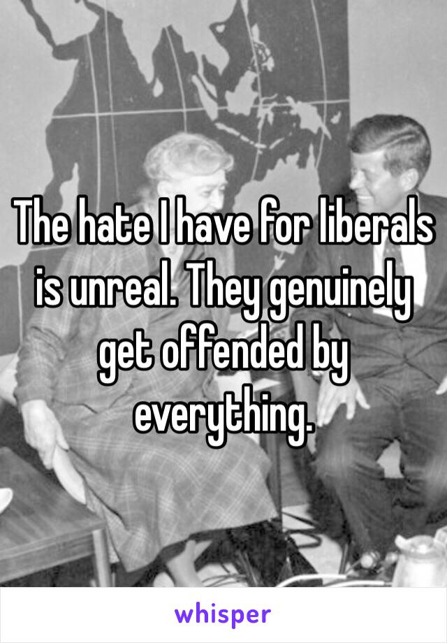 The hate I have for liberals is unreal. They genuinely get offended by everything. 