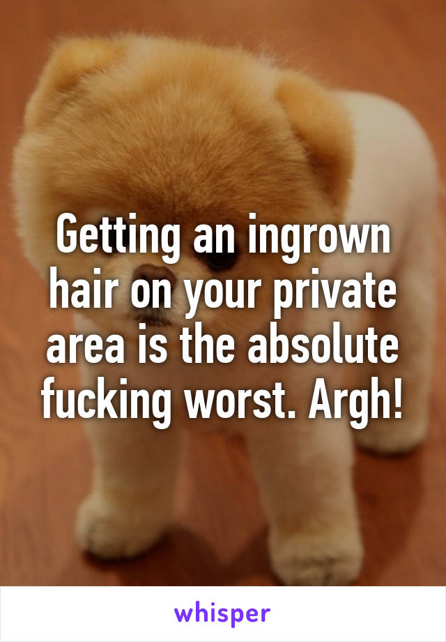 Getting an ingrown hair on your private area is the absolute fucking worst. Argh!