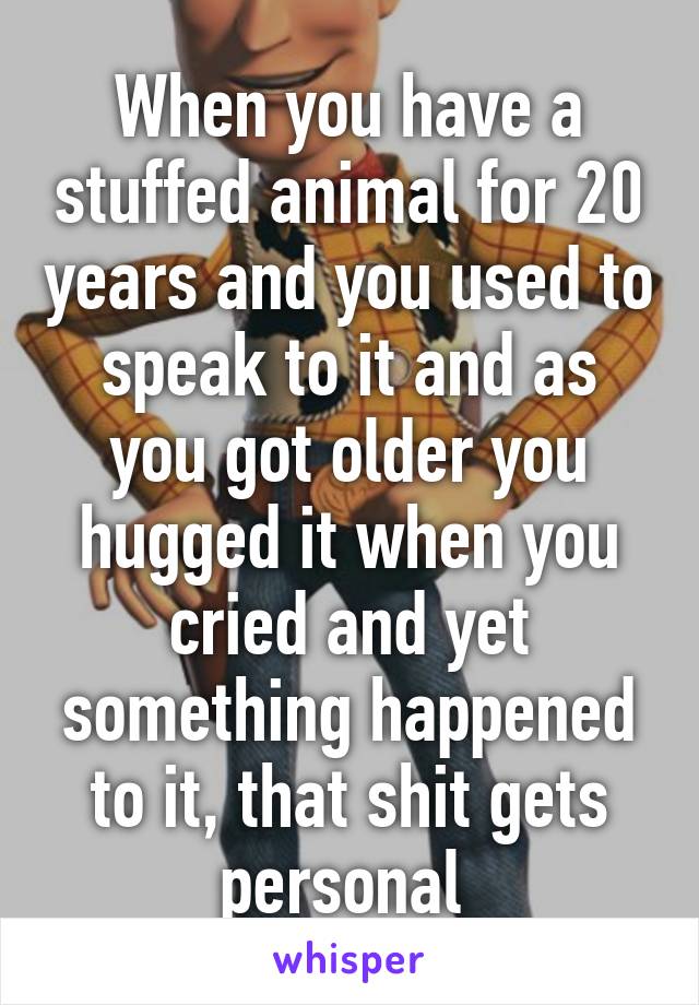 When you have a stuffed animal for 20 years and you used to speak to it and as you got older you hugged it when you cried and yet something happened to it, that shit gets personal 