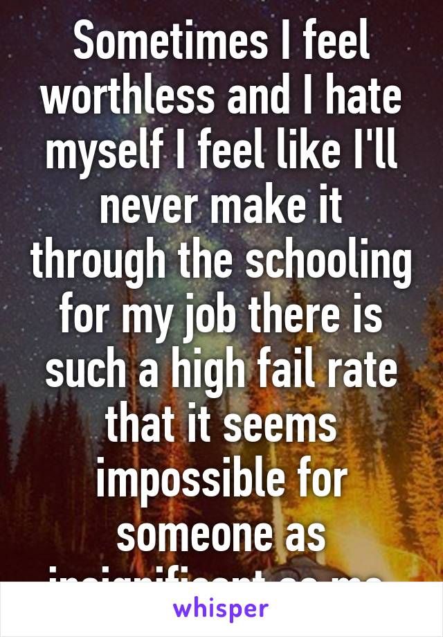 Sometimes I feel worthless and I hate myself I feel like I'll never make it through the schooling for my job there is such a high fail rate that it seems impossible for someone as insignificant as me 