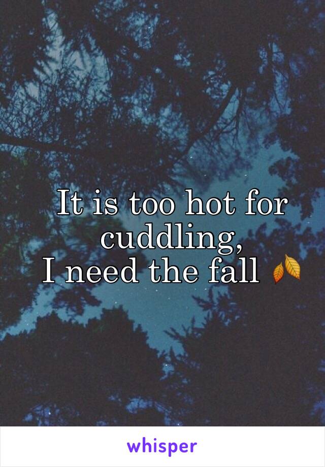 It is too hot for cuddling,
I need the fall 🍂