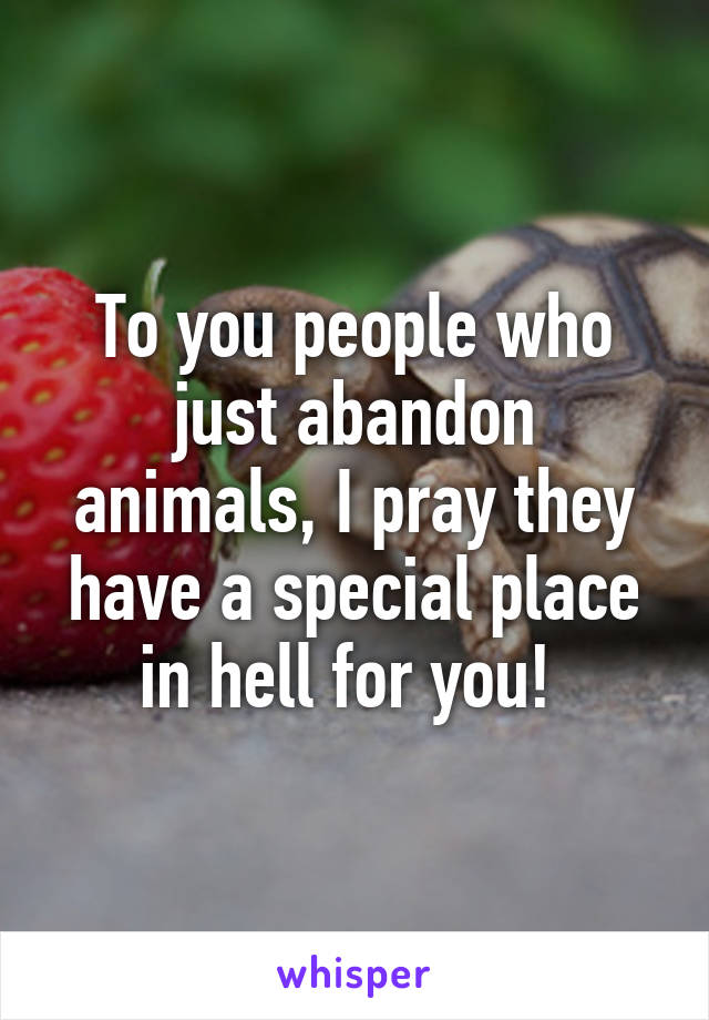 To you people who just abandon animals, I pray they have a special place in hell for you! 