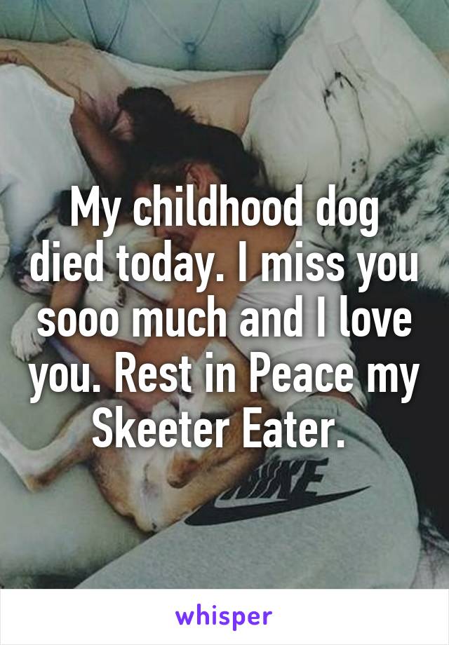 My childhood dog died today. I miss you sooo much and I love you. Rest in Peace my Skeeter Eater. 