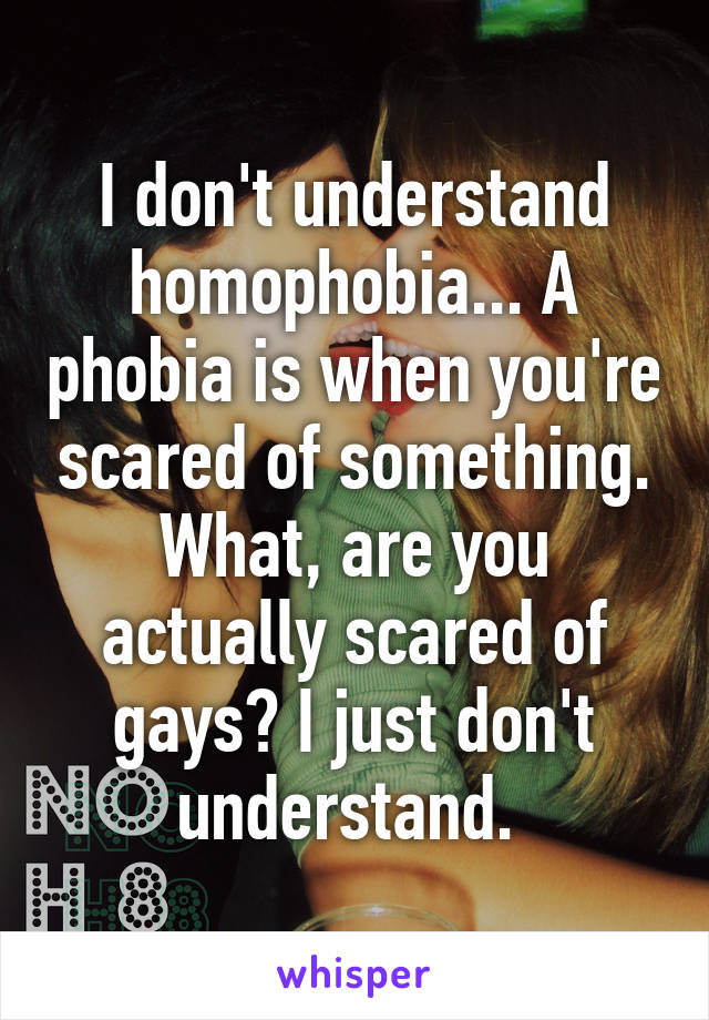 I don't understand homophobia... A phobia is when you're scared of something. What, are you actually scared of gays? I just don't understand. 