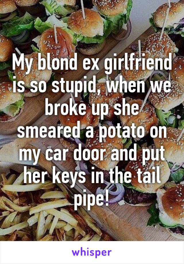 My blond ex girlfriend is so stupid, when we broke up she smeared a potato on my car door and put her keys in the tail pipe!