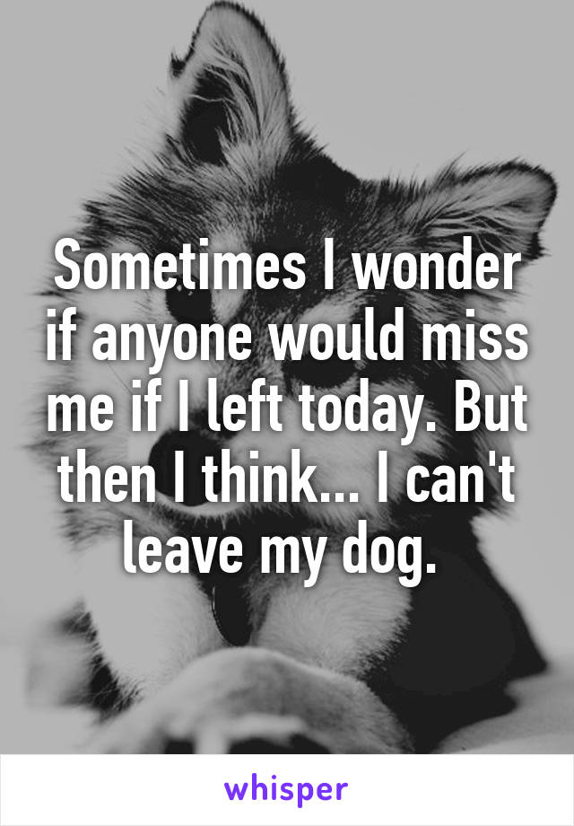 Sometimes I wonder if anyone would miss me if I left today. But then I think... I can't leave my dog. 