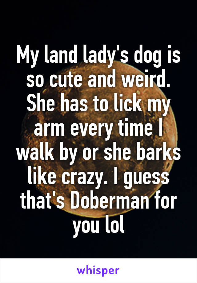 My land lady's dog is so cute and weird. She has to lick my arm every time I walk by or she barks like crazy. I guess that's Doberman for you lol