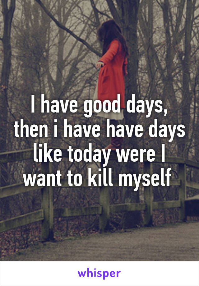 I have good days, then i have have days like today were I want to kill myself 