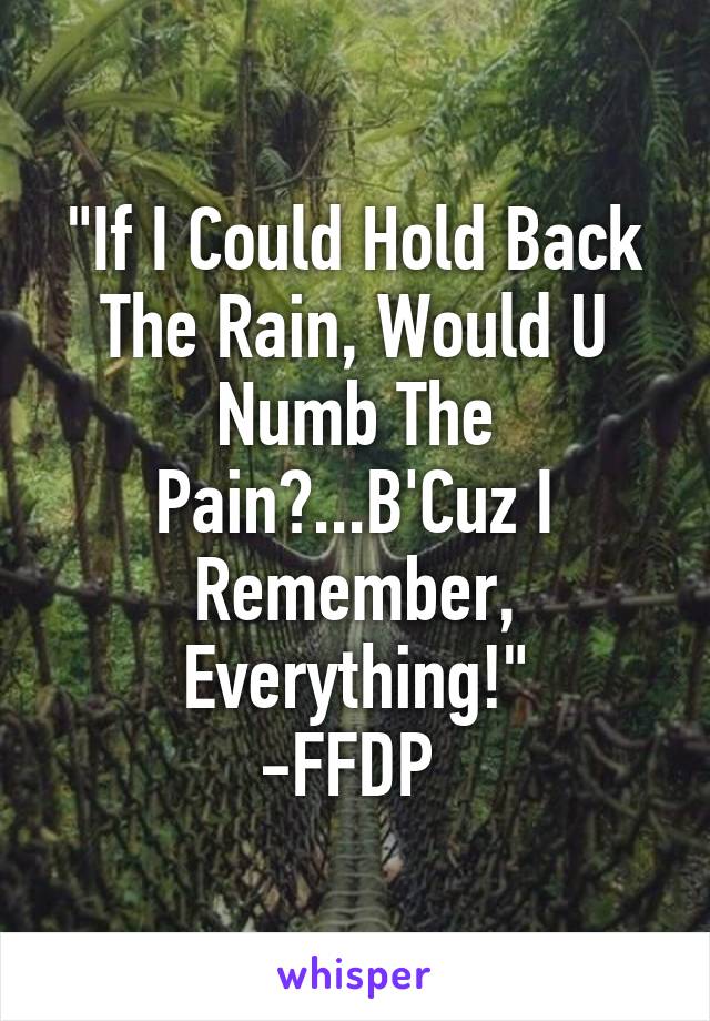 "If I Could Hold Back The Rain, Would U Numb The Pain?...B'Cuz I Remember, Everything!"
-FFDP 