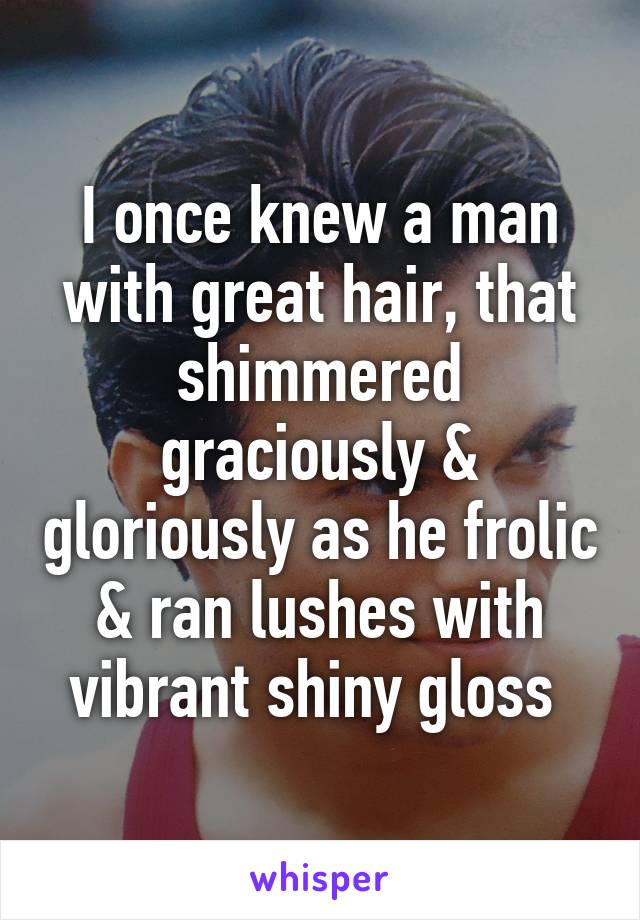 I once knew a man with great hair, that shimmered graciously & gloriously as he frolic & ran lushes with vibrant shiny gloss 