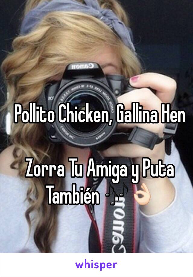 Pollito Chicken, Gallina Hen

Zorra Tu Amiga y Puta También 🎶👌🏻