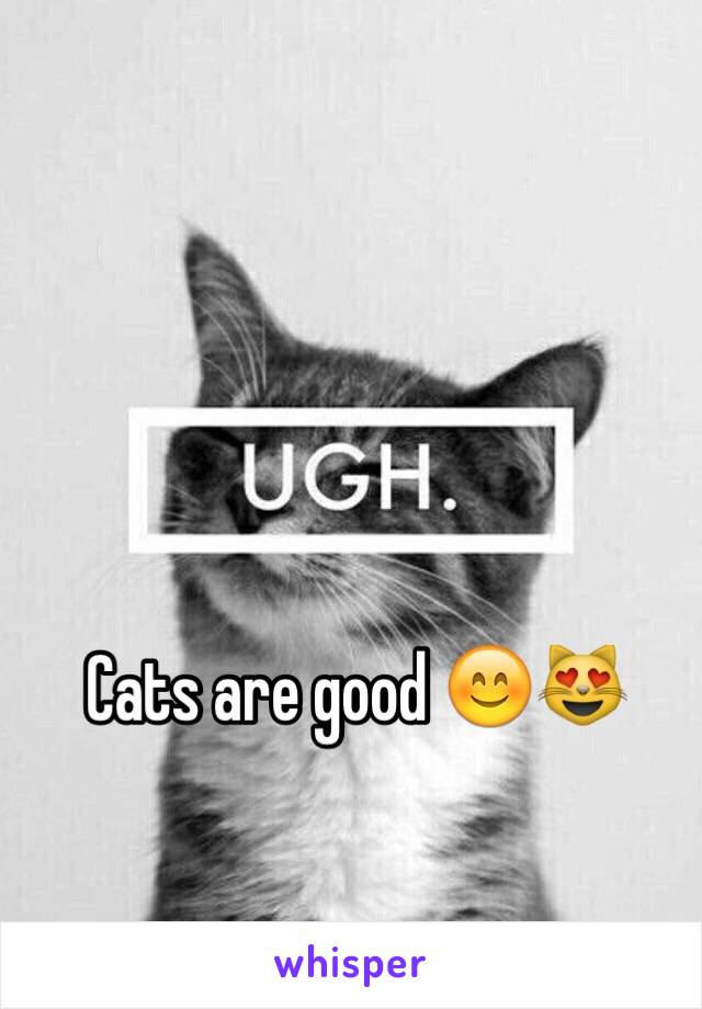 Cats are good 😊😻