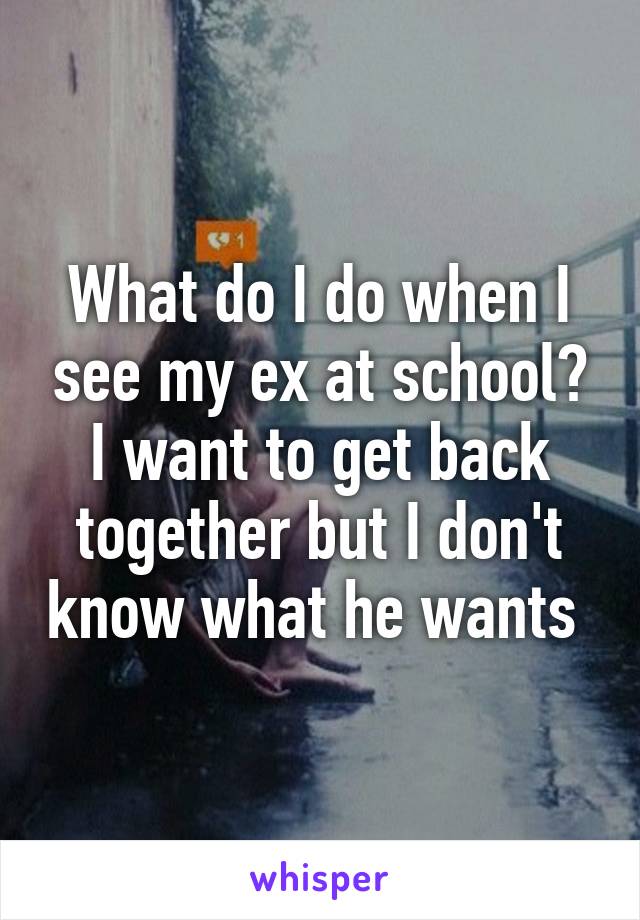 What do I do when I see my ex at school? I want to get back together but I don't know what he wants 