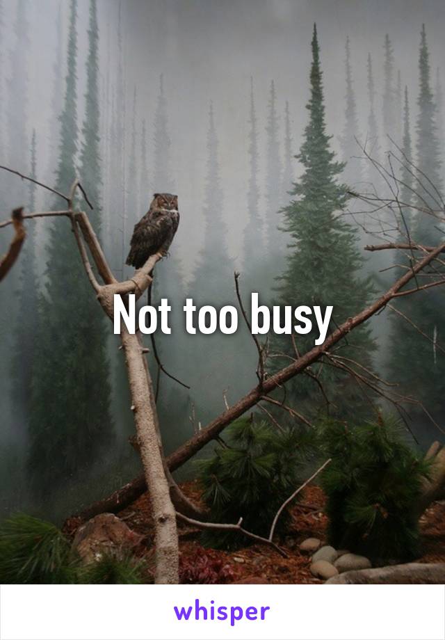 Not too busy