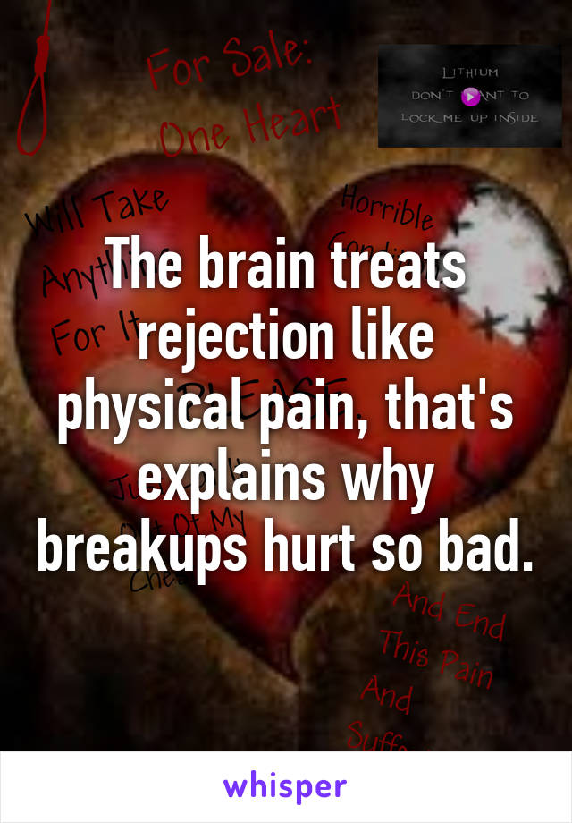 The brain treats rejection like physical pain, that's explains why breakups hurt so bad.