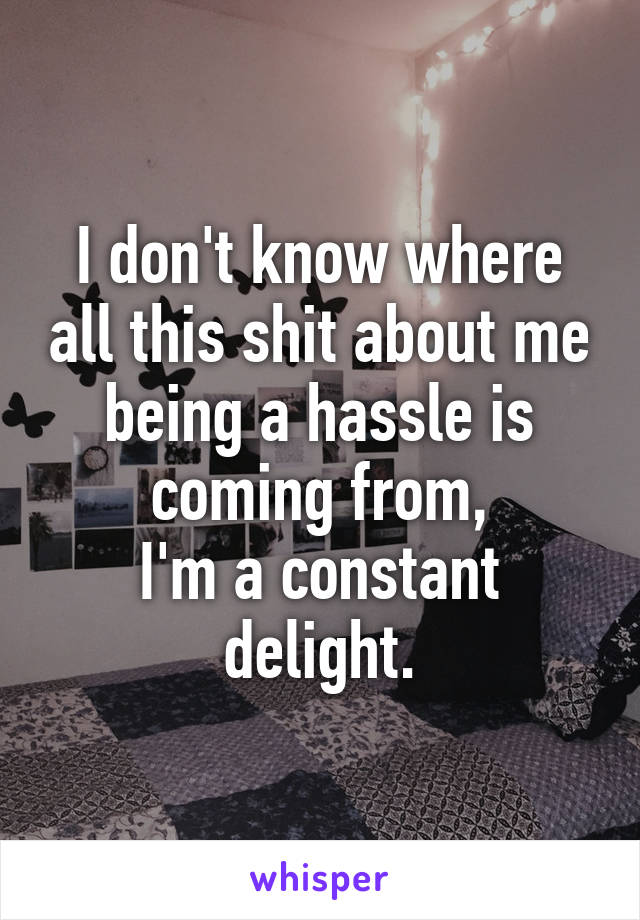 I don't know where all this shit about me being a hassle is coming from,
I'm a constant delight.