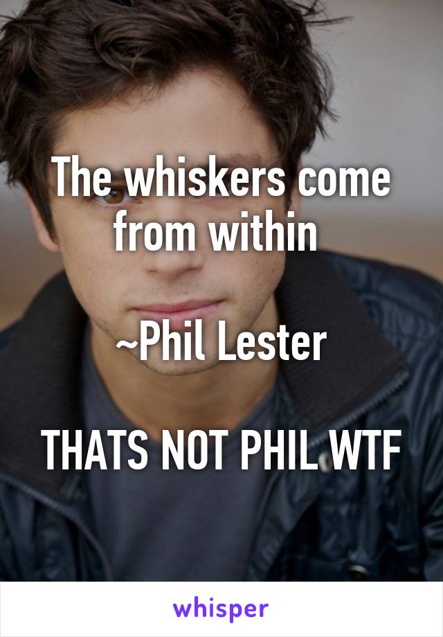 The whiskers come from within 

~Phil Lester

THATS NOT PHIL WTF