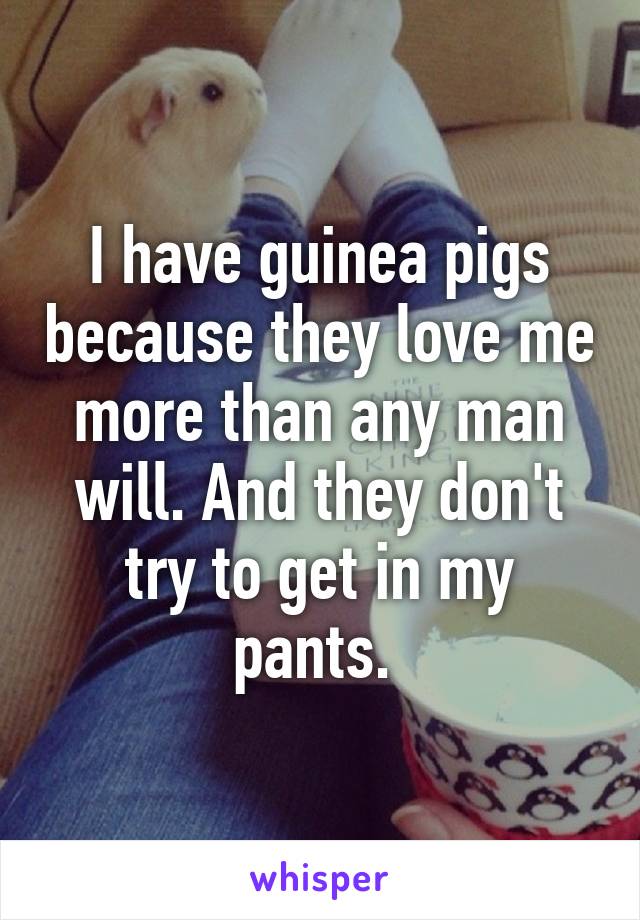 I have guinea pigs because they love me more than any man will. And they don't try to get in my pants. 