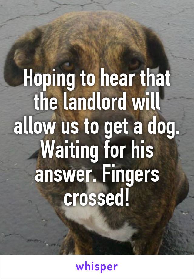 Hoping to hear that the landlord will allow us to get a dog. Waiting for his answer. Fingers crossed!