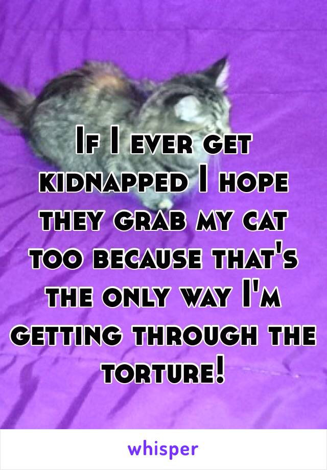 If I ever get kidnapped I hope they grab my cat too because that's the only way I'm getting through the torture!