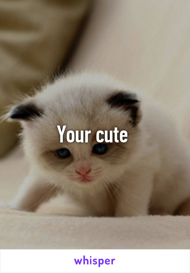 Your cute 