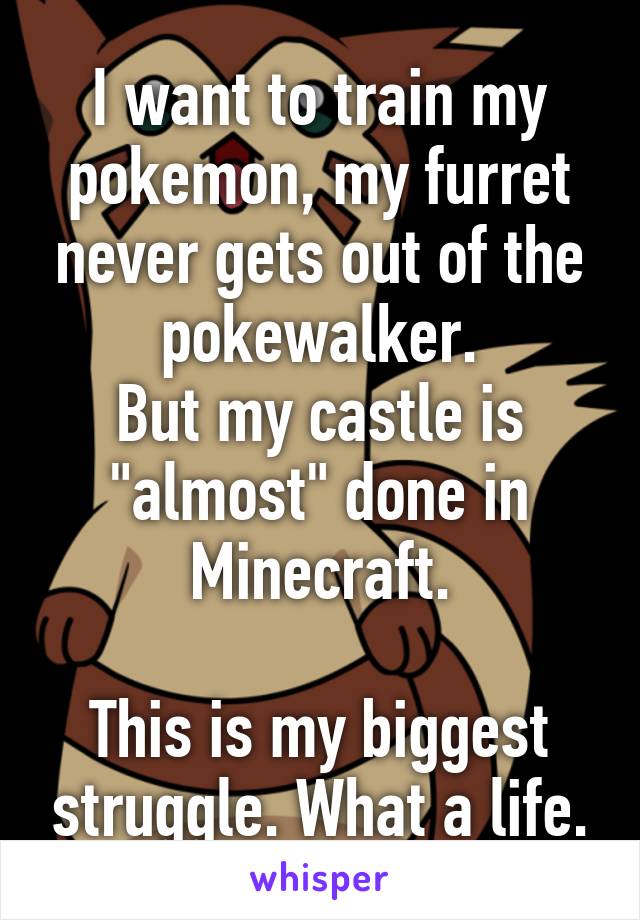 I want to train my pokemon, my furret never gets out of the pokewalker.
But my castle is "almost" done in Minecraft.

This is my biggest struggle. What a life.