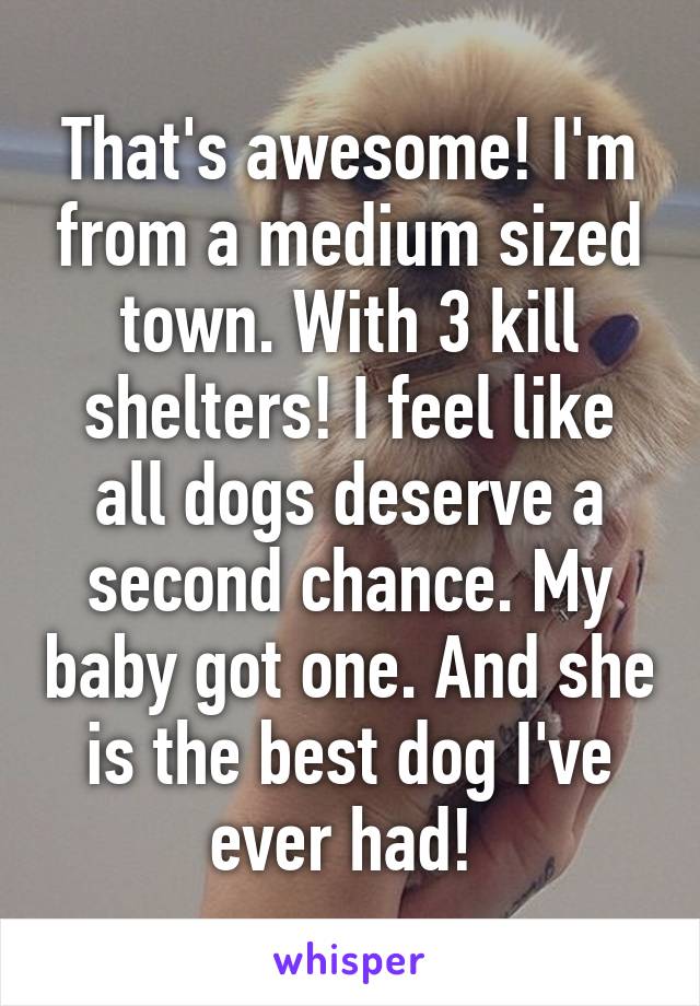 That's awesome! I'm from a medium sized town. With 3 kill shelters! I feel like all dogs deserve a second chance. My baby got one. And she is the best dog I've ever had! 