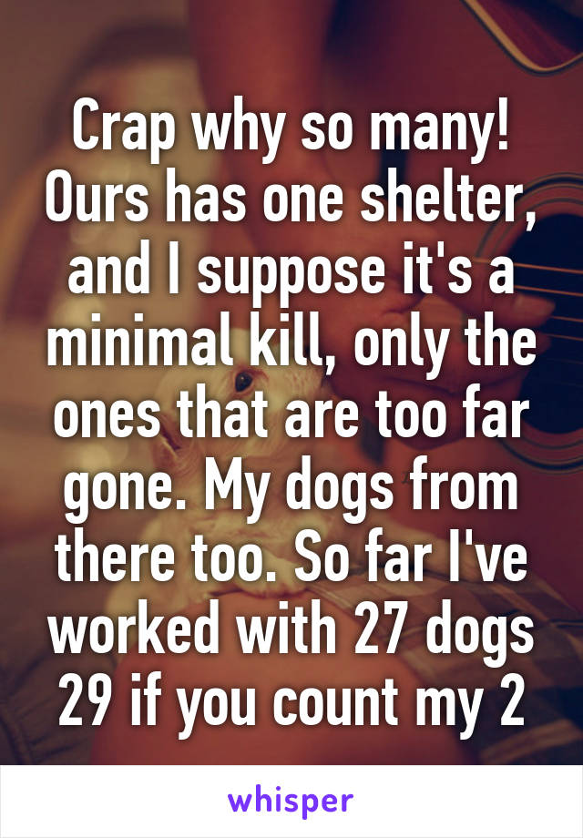 Crap why so many! Ours has one shelter, and I suppose it's a minimal kill, only the ones that are too far gone. My dogs from there too. So far I've worked with 27 dogs 29 if you count my 2