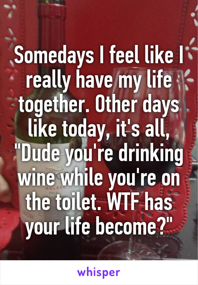 Somedays I feel like I really have my life together. Other days like today, it's all, "Dude you're drinking wine while you're on the toilet. WTF has your life become?"