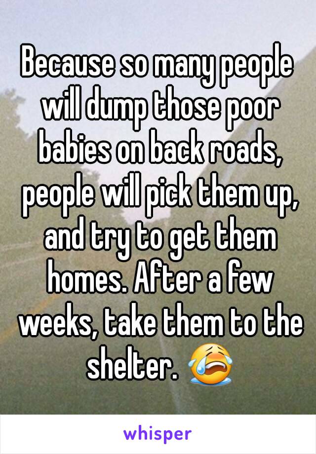 Because so many people will dump those poor babies on back roads, people will pick them up, and try to get them homes. After a few weeks, take them to the shelter. 😭