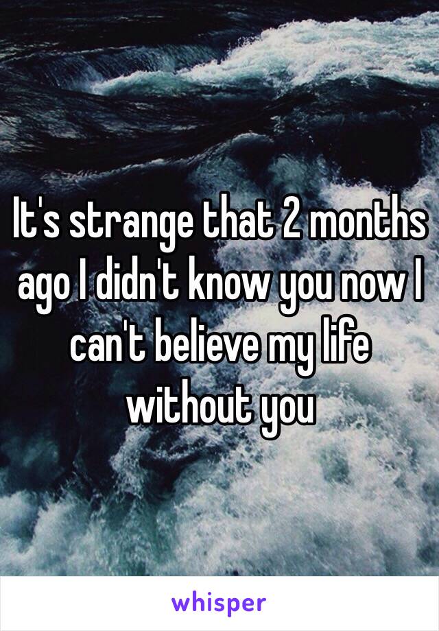 It's strange that 2 months ago I didn't know you now I can't believe my life without you 