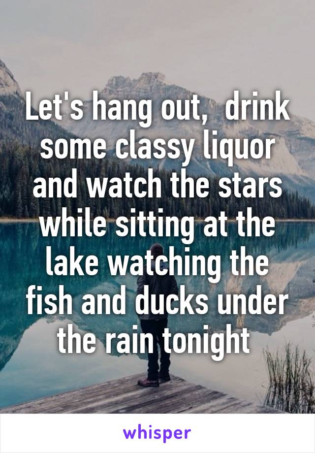 Let's hang out,  drink some classy liquor and watch the stars while sitting at the lake watching the fish and ducks under the rain tonight 