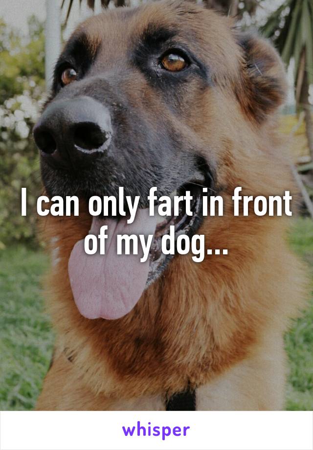 I can only fart in front of my dog...